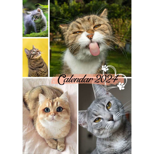 Picture of A4 CALENDAR CATS